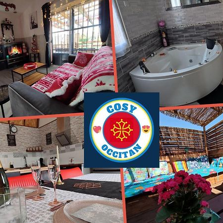cosy occitan villa renové independante terrasse jardin bien située Carcassonne Extérieur photo